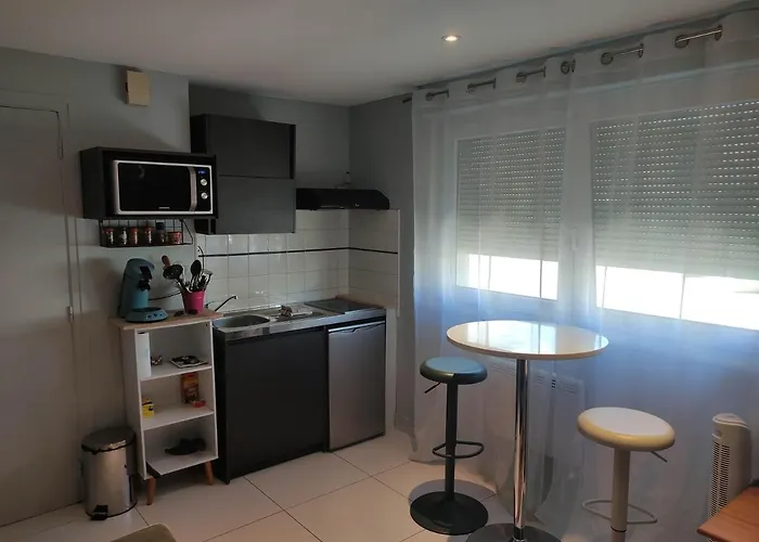 Appartement Nancy Thermal/Artem/Parc Ste Marie Le 61 Les Thermes