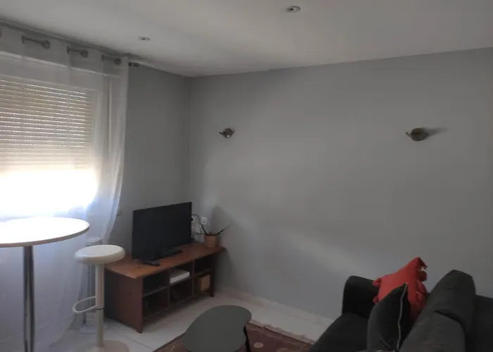 Appartement Nancy Thermal/Artem/Parc Ste Marie Le 61 Les Thermes